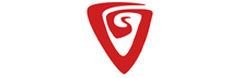 Vortex Global Services